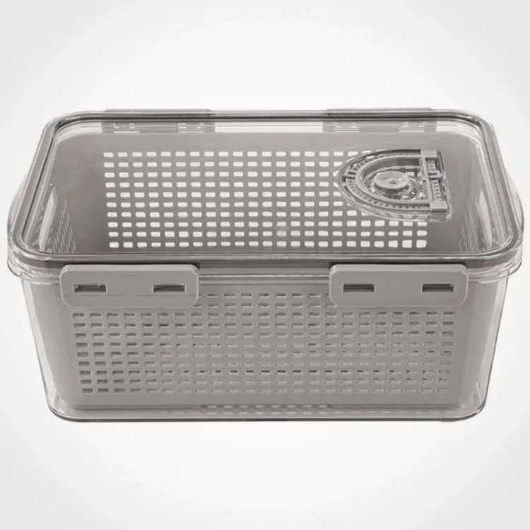 باکس تو یخچالی 5 لیتری مدل تاریخ دار لیمون limon